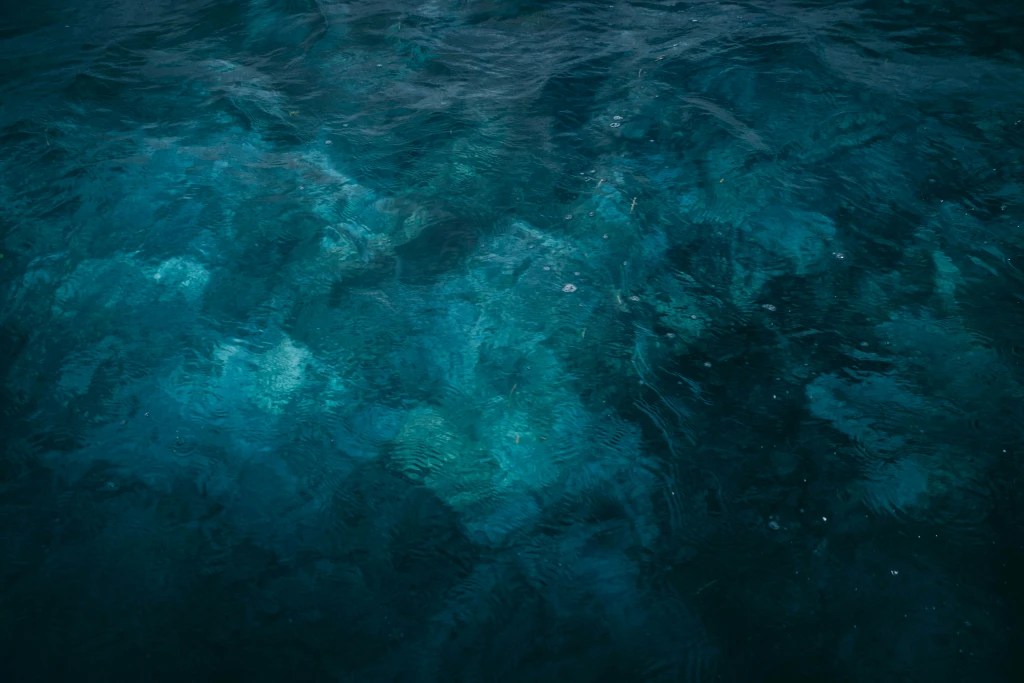 رنگ سال ۲۰۲۶