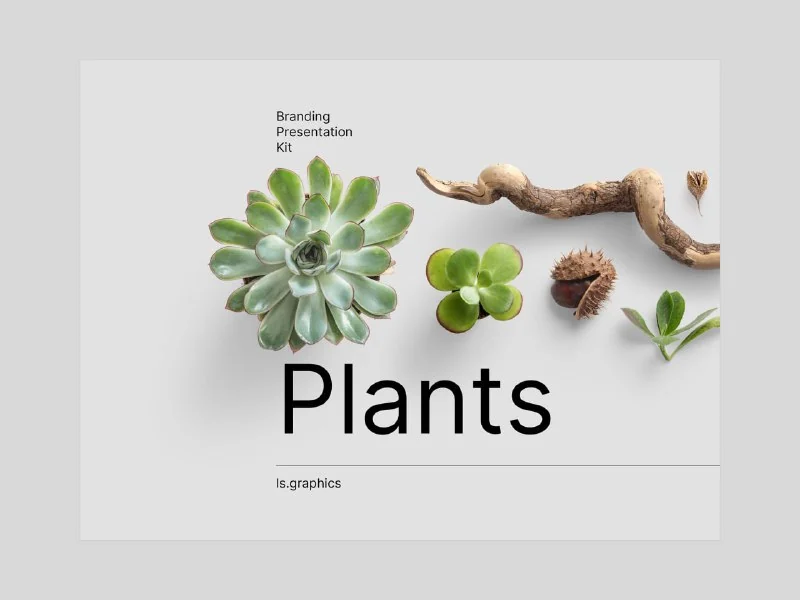 Huge Collection of Plants and floral items by Ls.graphic — تصویر ۱