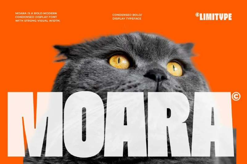 Moara – Bold Condensed Font