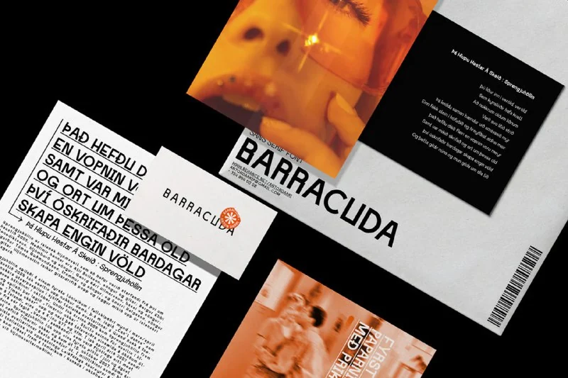 Barracuda — تصویر ۲