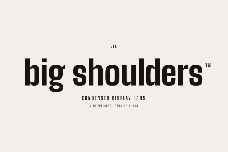 فونت Big Shoulders Display — تصویر ۱