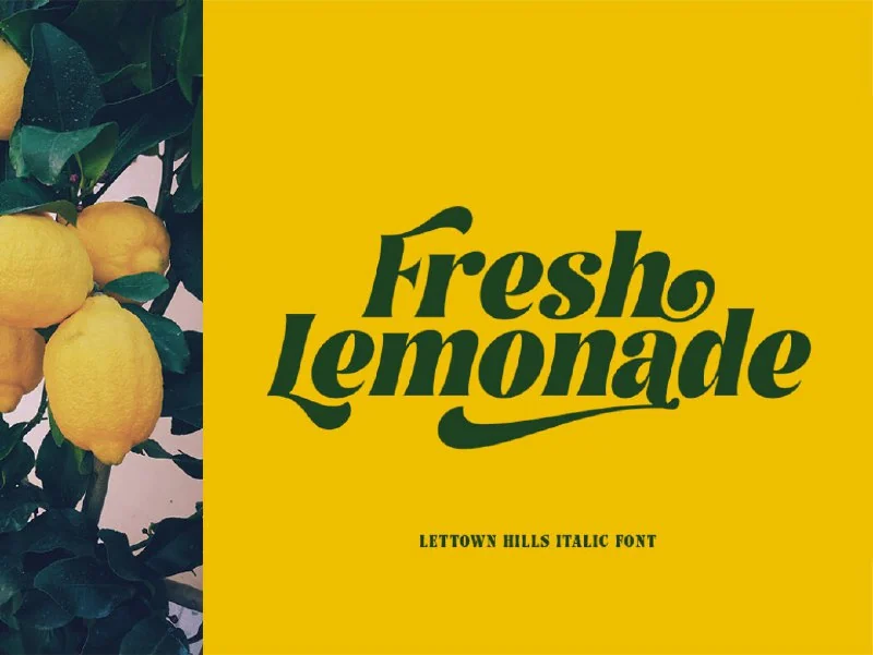 فونت lettown-hills-display-font — تصویر ۳
