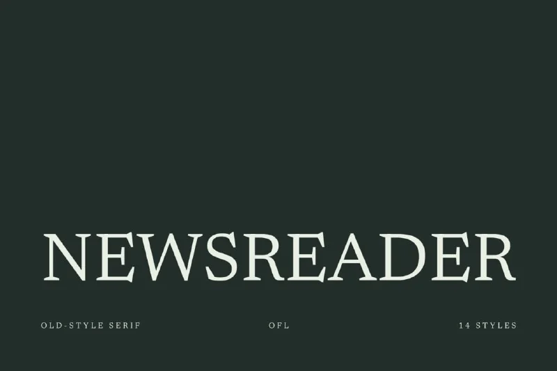 فونت Newsreader – Free Font Family — تصویر ۱