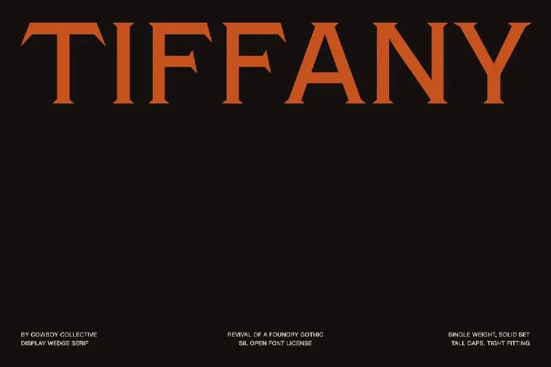 فونت Tiffany Gothic CC — تصویر ۱
