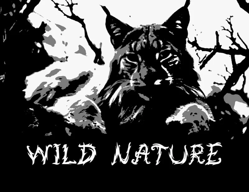 فونت WILDYRUS — تصویر ۳